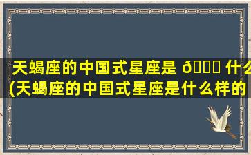 天蝎座的中国式星座是 🐞 什么(天蝎座的中国式星座是什么样的)